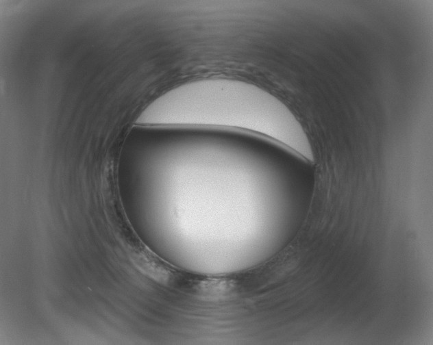 X0000080740225200612150940