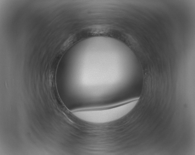 X0000080740227200612150940