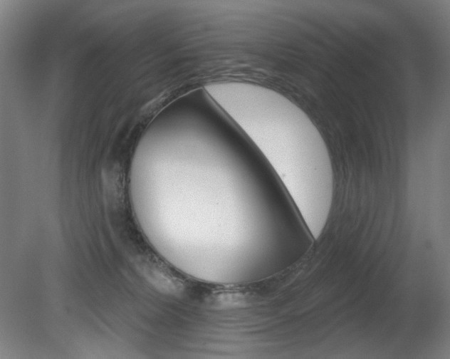 X0000080740228200612150940