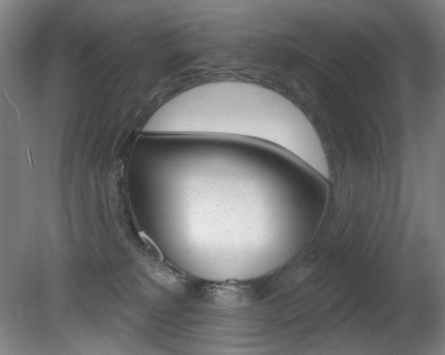 X0000080740229200612150940