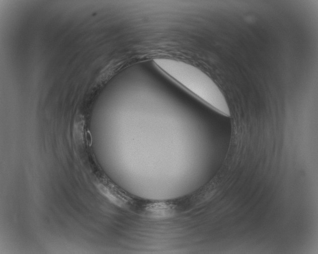 X0000080740231200612150940