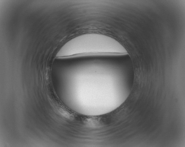 X0000080740232200612150940