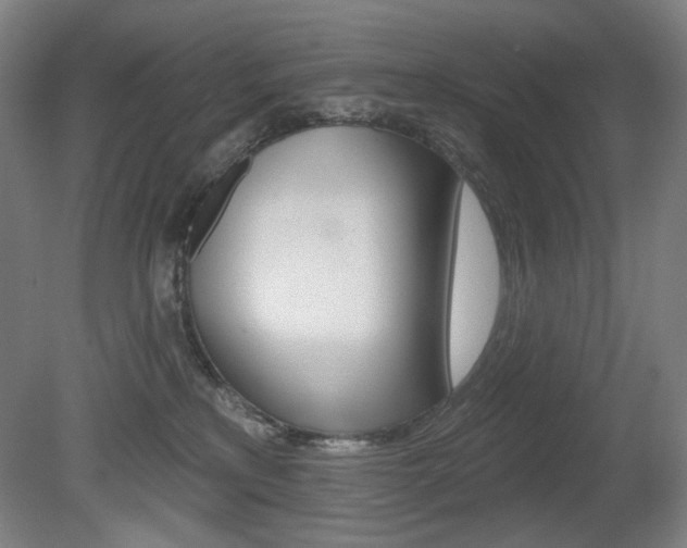 X0000080740233200612150940
