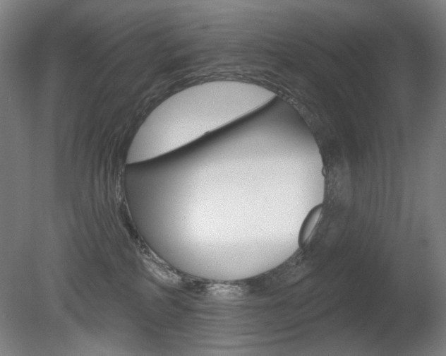 X0000080740234200612150940