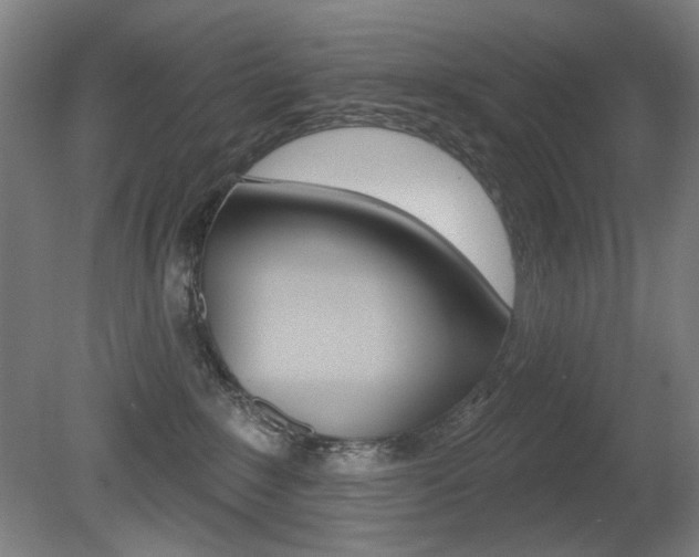 X0000080740235200612150940