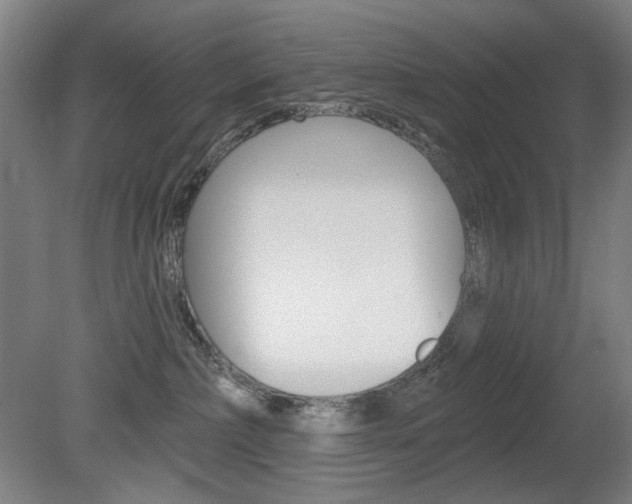 X0000080740236200612150940