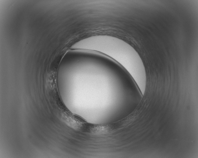 X0000080740237200612150940