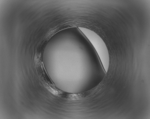 X0000080740239200612150940