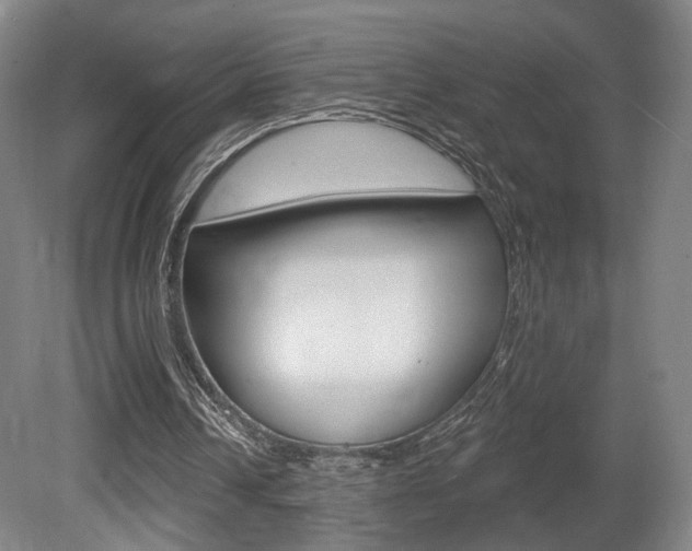 X0000080740242200612150939