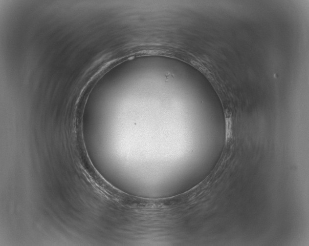 X0000080740243200612150939