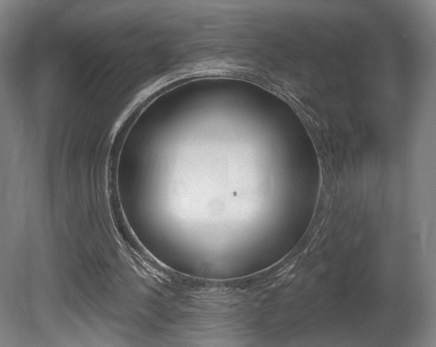 X0000080740244200612150939