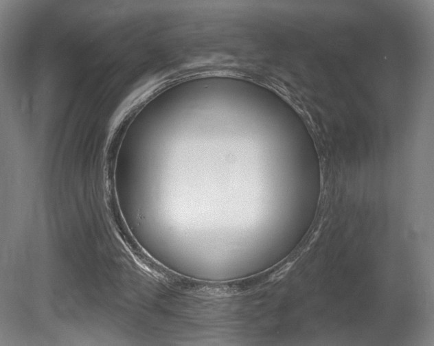 X0000080740245200612150939
