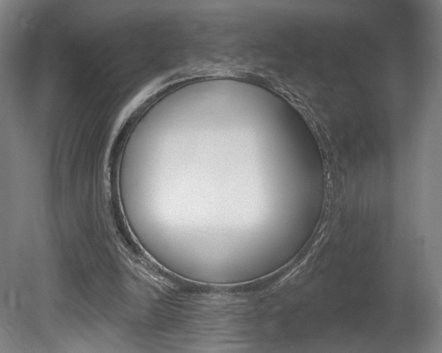 X0000080740246200612150939