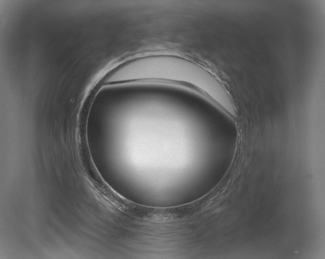 X0000080740248200612150939