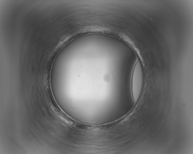 X0000080740249200612150939