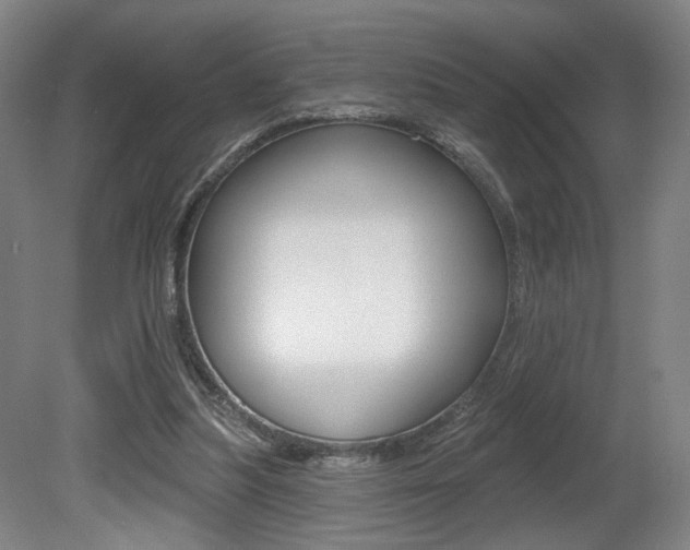 X0000080740251200612150939