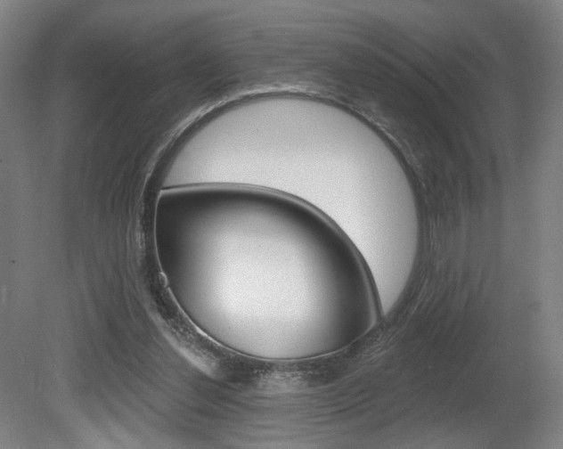 X0000080740252200612150939