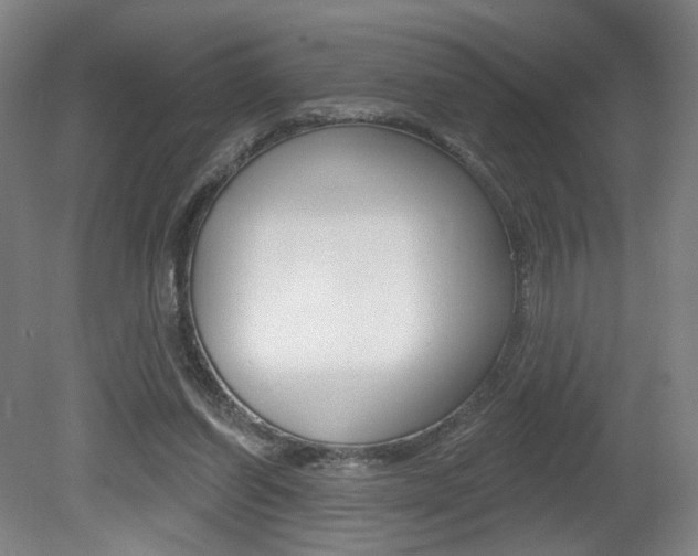 X0000080740254200612150939