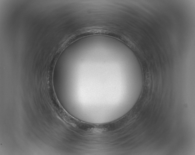 X0000080740255200612150939