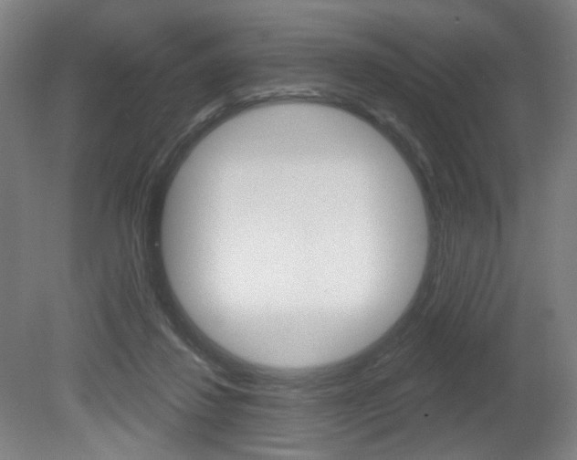 X0000080740260200612150939