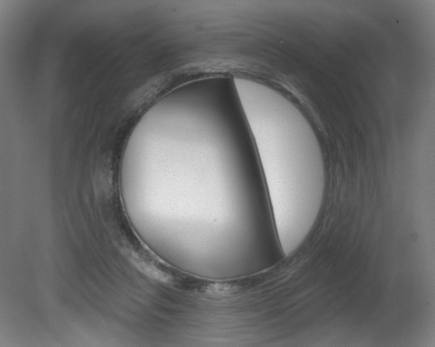 X0000080740261200612150939