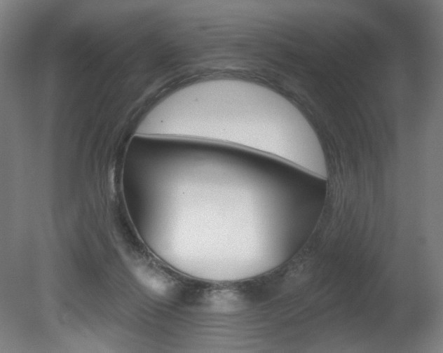 X0000080740262200612150939