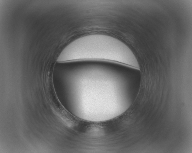 X0000080740263200612150939