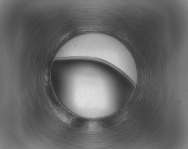 X0000080740264200612150939