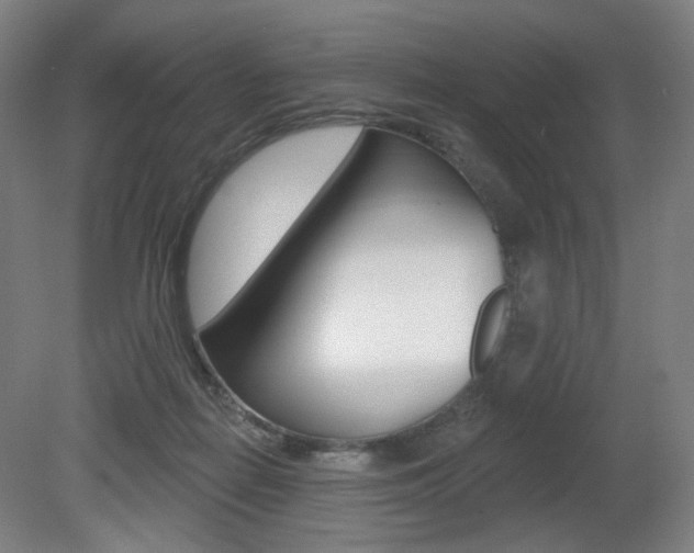 X0000080740266200612150939