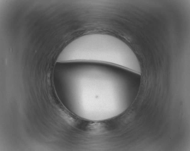 X0000080740269200612150940
