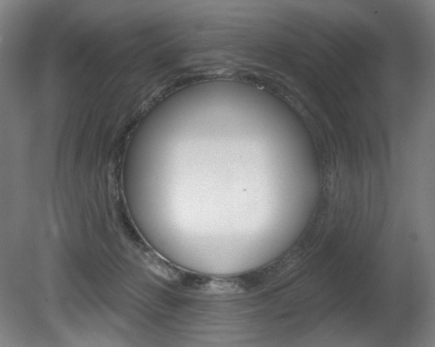 X0000080740270200612150940