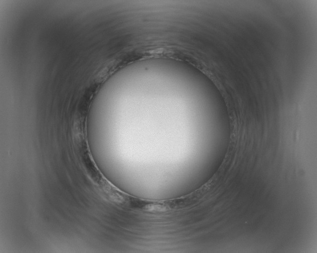 X0000080740272200612150940
