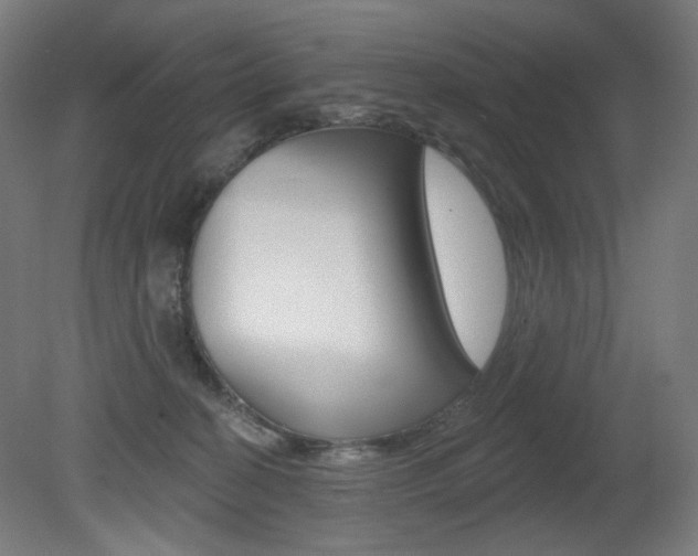 X0000080740274200612150940
