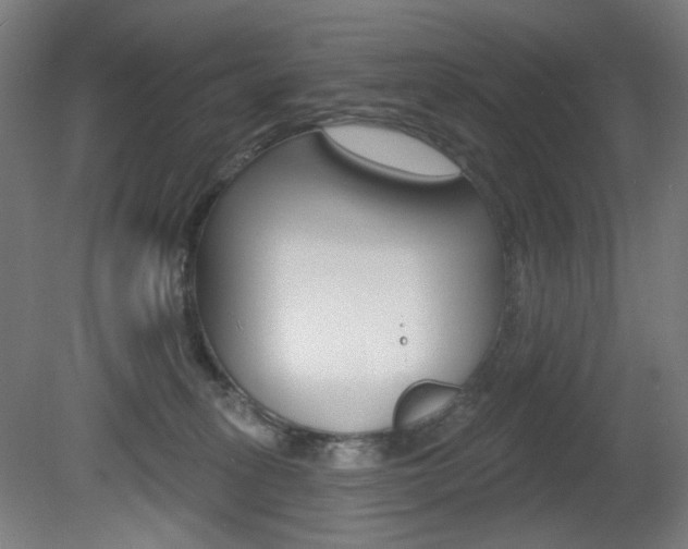 X0000080740275200612150940