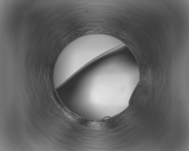X0000080740277200612150940
