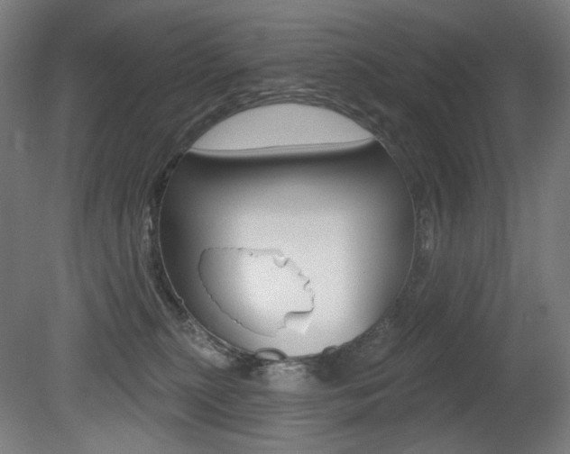 X0000080740279200612150940