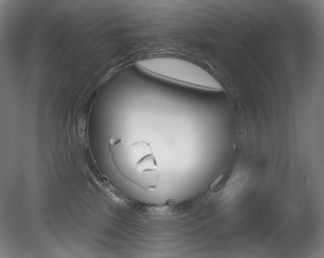 X0000080740281200612150940