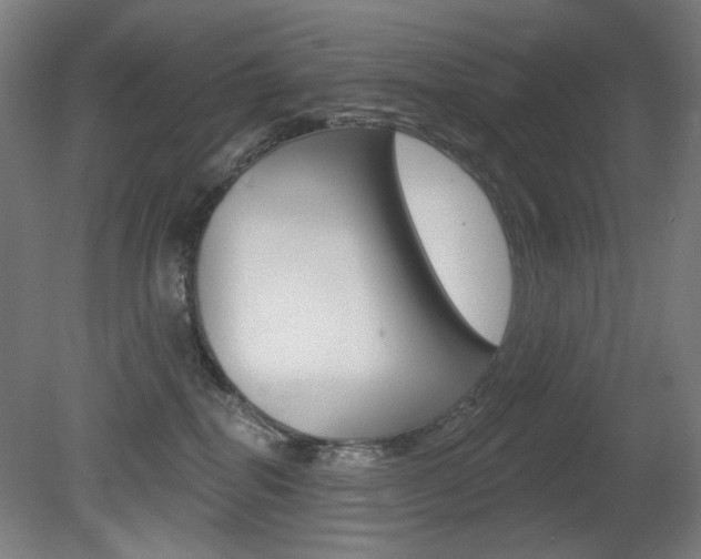 X0000080740282200612150940