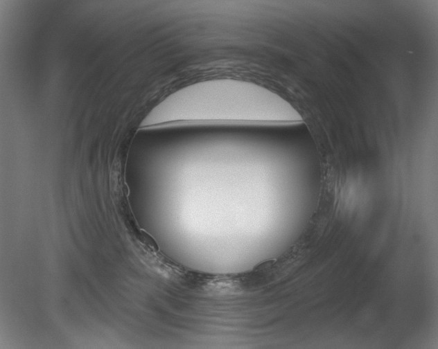 X0000080740283200612150940