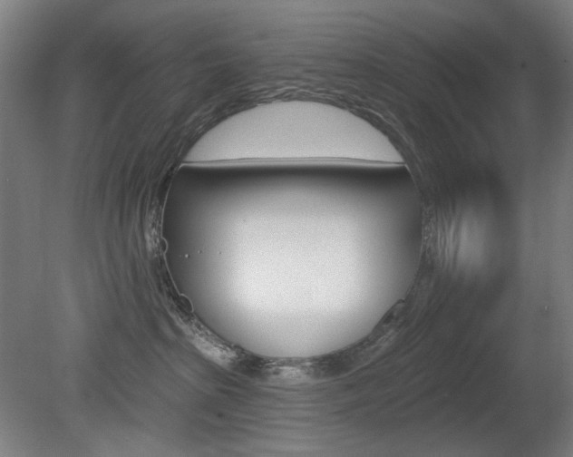 X0000080740285200612150940