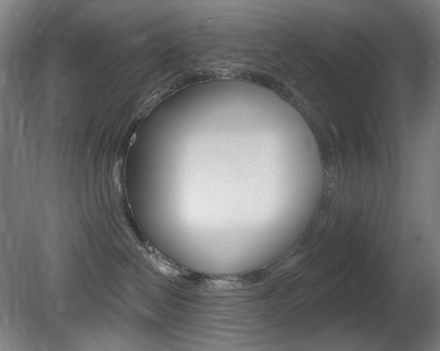 X0000080740286200612150940