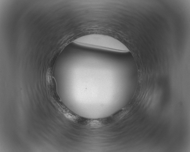 X0000080740287200612150940