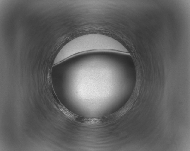 X0000080740288200612150940