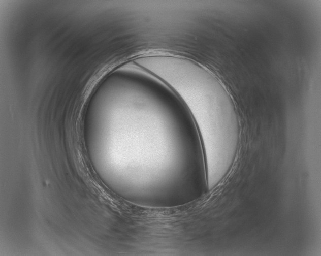 X0000080740289200612150939