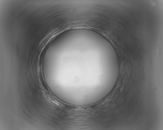 X0000080740290200612150939