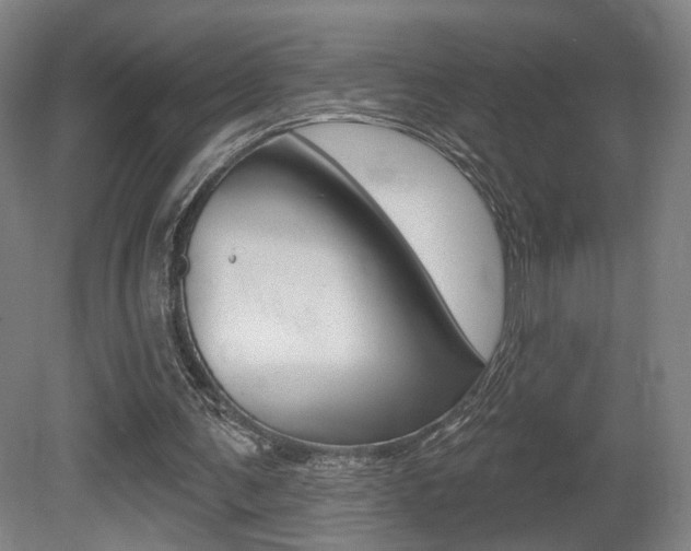 X0000080740291200612150939