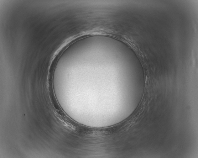 X0000080740292200612150939