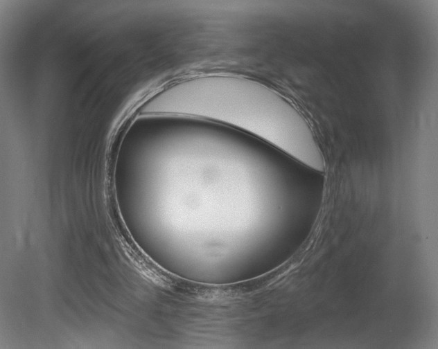 X0000080740293200612150939