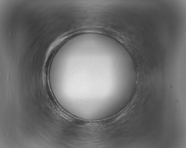 X0000080740294200612150939