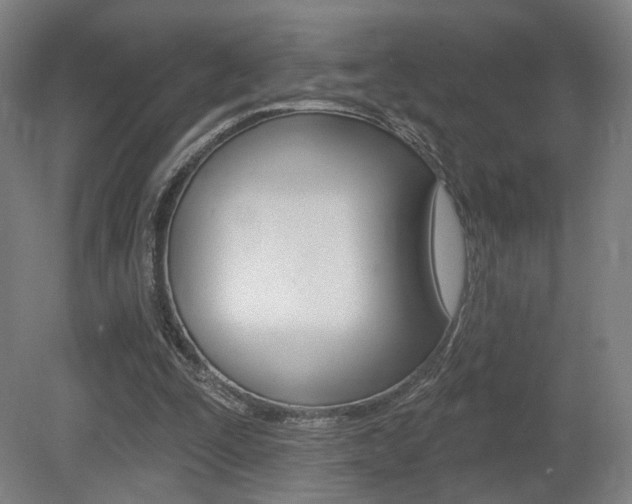 X0000080740295200612150939
